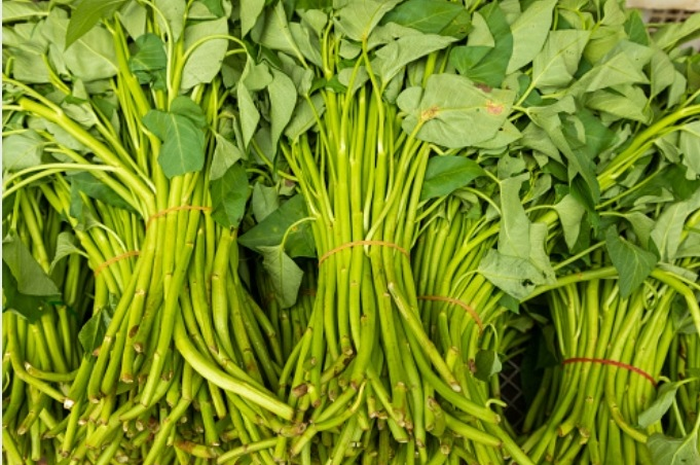 Kangkung