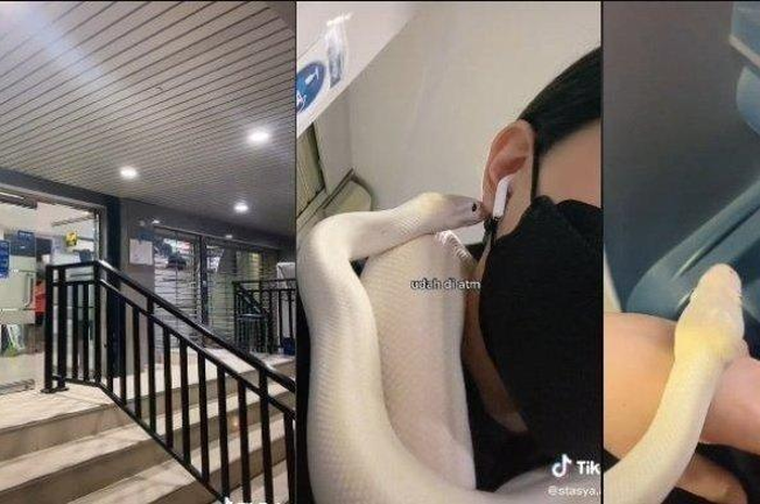 Viral wanita nekat bawa ular saat ingin setor uang ke ATM