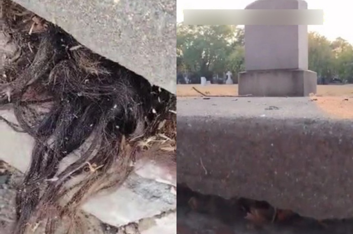Temukan rambut mencuat dari dalam kuburan, pria ini syok