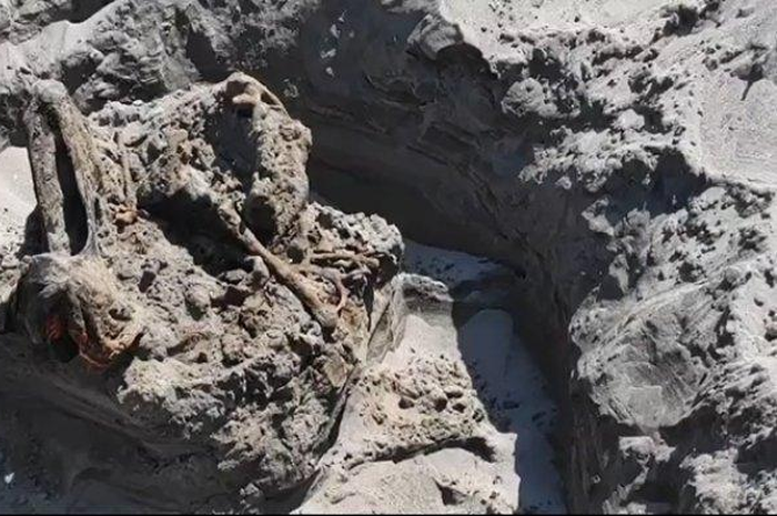 Kerangka manusia yang ditemukan di Pantai Parangkusumo, Bantul, DIY,