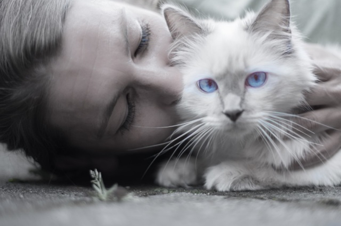 Ilustrasi wanita pemilik kucing