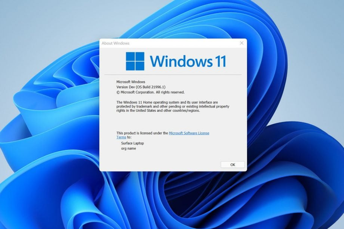 Ilustrasi OS Windows 11