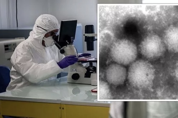 Virus baru ditemukan di Jepang dan bisa menginfeksi manusia.