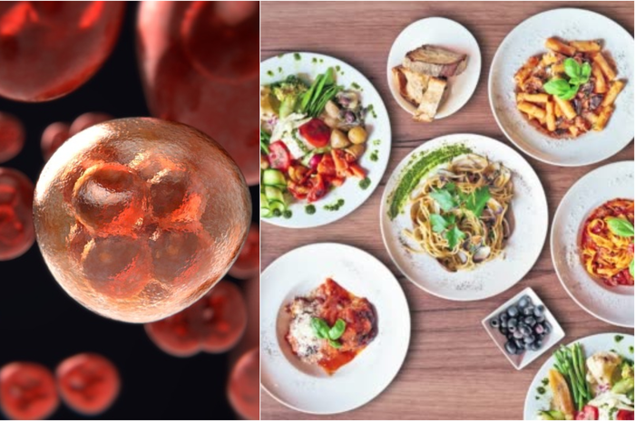 Jenis makanan yang bisa menyebabkan kanker darah.