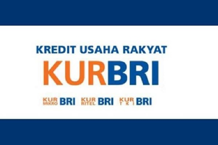 WNI Berusia 21 Tahun Bisa Dapat Pinjaman di Bank Mandiri, BRI dan BNI, Langsung Cair Lewat Layanan Online