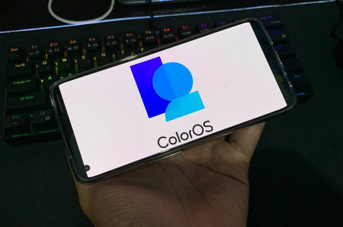 ColorOS 12 Logo
