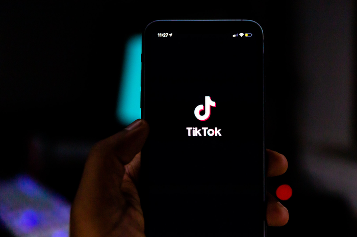 Ilustrasi TikTok