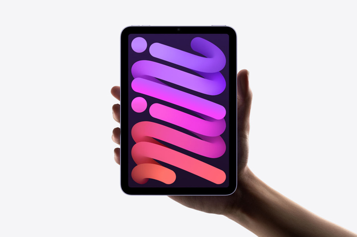 iPad mini 6