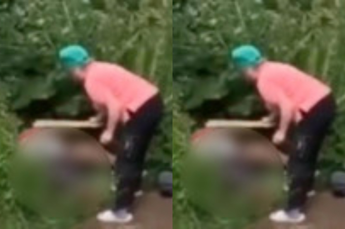 Wanita ini syok usai membuka selimut berlumuran darah yang dia temukan di semak-semak