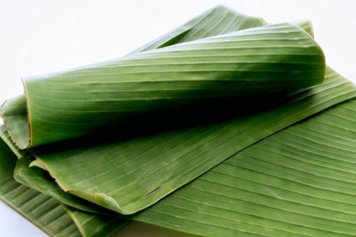 Ilustrasi daun pisang