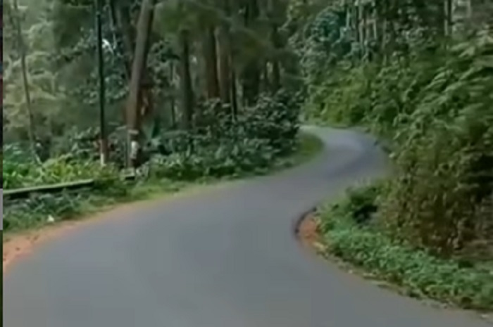 Viral video curhatan kurir Cash On Delivery (COD) terabas hutan dan pegunungan, isi paketnya malah bikin geram.