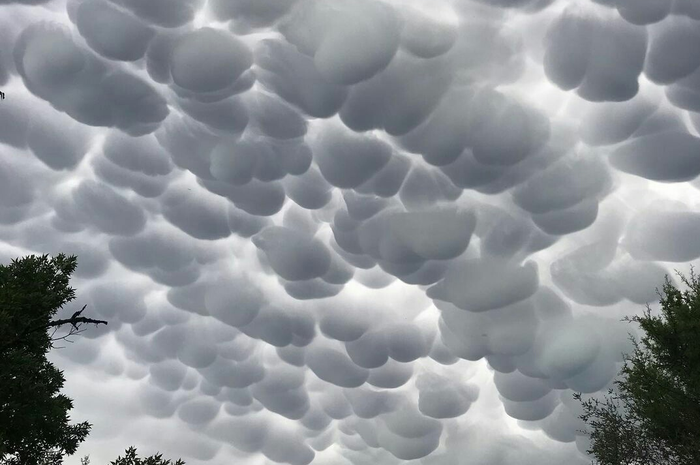 Awan Mammatus yang berbentuk gelembung 
