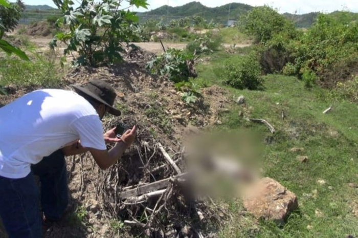 Bikin geger, anjing di sekitar Sirkuit Mandalika, Lombok, NTB, mendadak mati diracun, ini jawaban pihak ITDC dan MGPA.