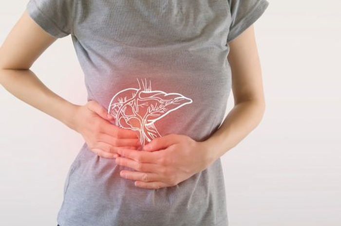 ilustrasi liver