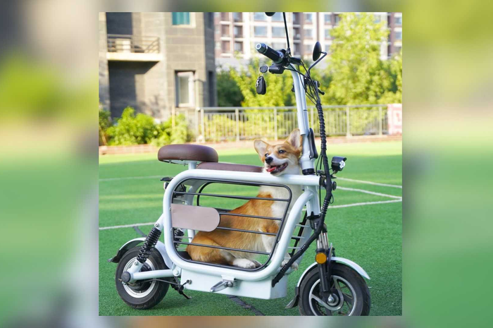 Unik juga nih, motor listrik mini ini bisa bawa hewan peliharaan sambil motoran.