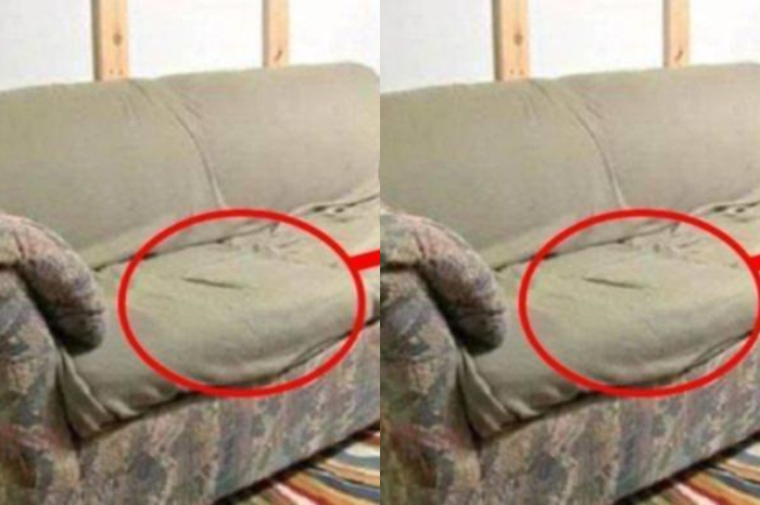 Pria ini syok dapati hal mengerikan di dalam sofa barunya