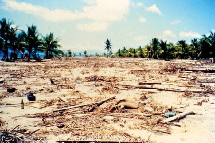 Foto kepanikan warga NTT muncul di media sosial. Namun, ada netizen yang membagikan foto tsunami Flores 29 tahun lalu.