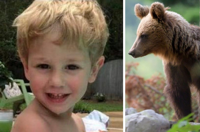 Casey Hathaway hilang di hutan selama 2 malam.