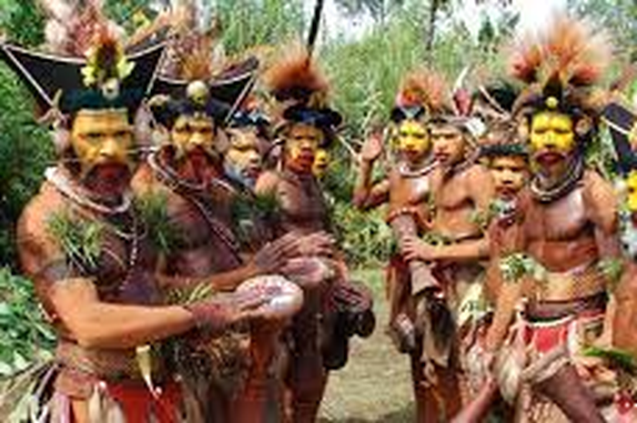 Suku Fore di Papua Nugini