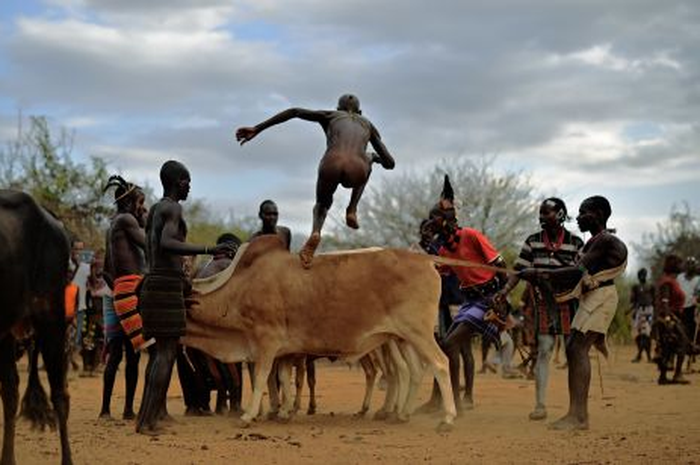 Ritual lompat banteng suku Hamer di Ethiopia.