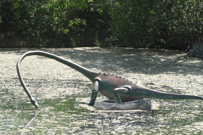 (Ilustrasi) Tanystropheus hydroides