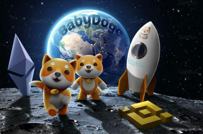 Ilustrasi kripto Baby Doge Coin