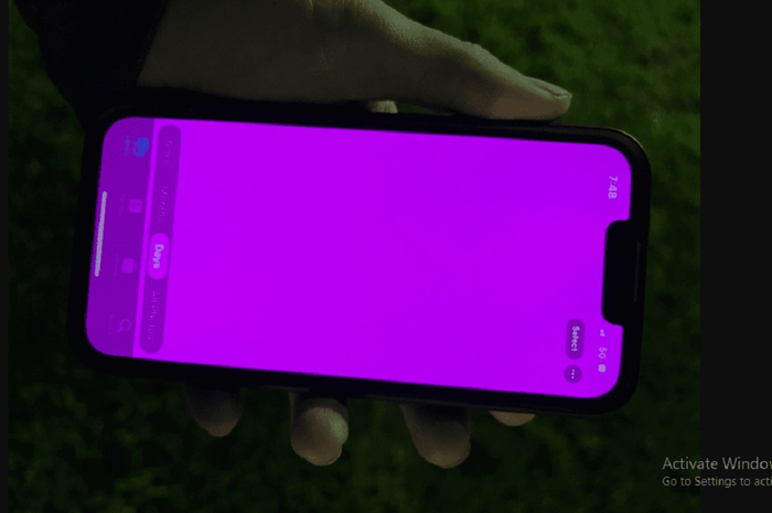 Layar iPhone 13 menjadi warna pink.