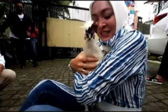 Angelina Sondakh dan ayam peliharaannya