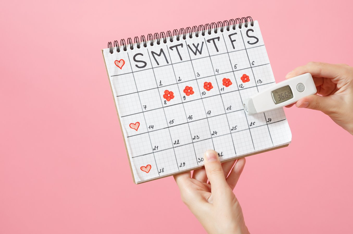 Cara Menghitung Masa Subur Wanita setelah Haid