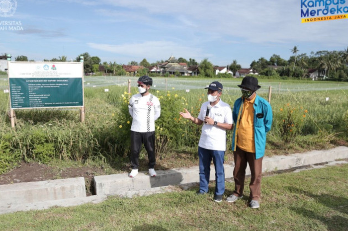 Kegiatan peninjauan lokasi uji multilokasi di Pusat Inovasi Agroteknologi (PIAT), Berbah, Kalitirto, Sleman, Minggu (20/03/2022).