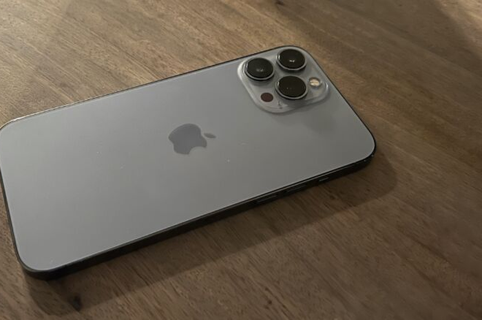 iPhone 13 Pro Max