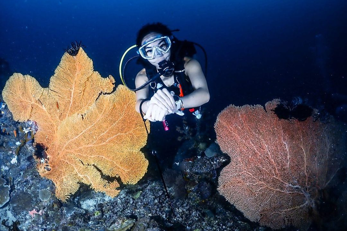 Gisel makin senang pamer foto diving di Instagram. Janda Gading Marten bak melupakan pahitnya ditolak balikan dengan sang mantan.