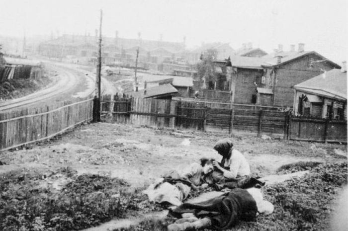 Itu merupakan bencana yang belum pernah terjadi sebelumnya dalam sejarah Ukraina , di mana sekitar 17 juta orang Ukraina meninggal akibat kelaparan.