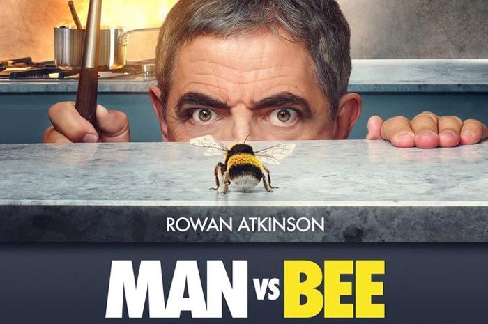 Poster Man vs Bee