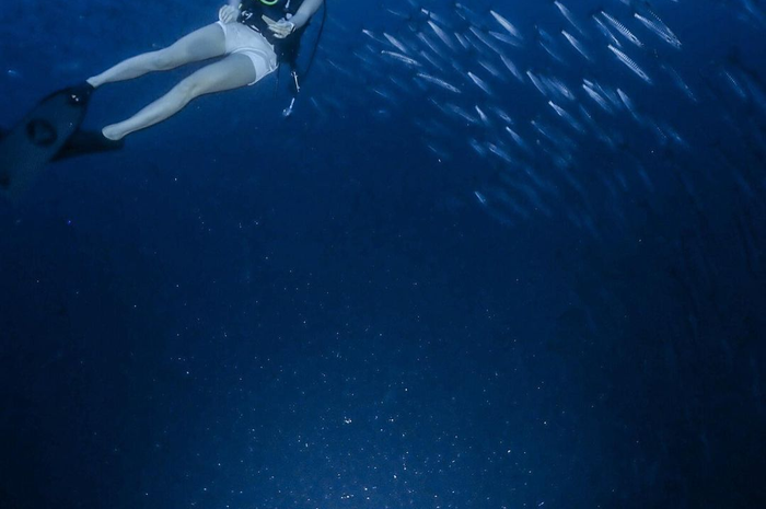 Gisel ketagihan memamerkan foto diving di akun Instagram miliknya. Bahkan, mantan istri Gading Marten rela memandam rindu pada sosok ini.
