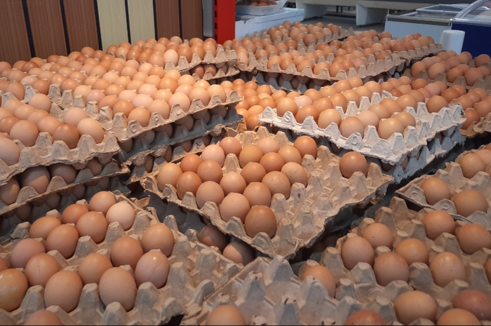 Harga sembako telur 
