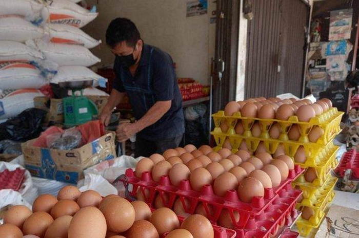 Tampak pedagang telur ayam di Pasar Pembangunan Kota Pangkalpinang, Selasa (14/6/2022).   