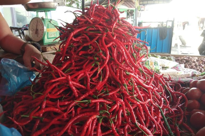 Ilustrasi cabai merah