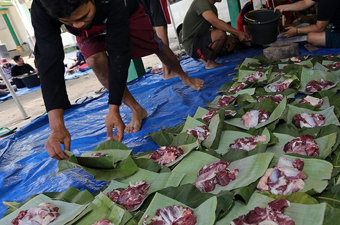 daging kambing