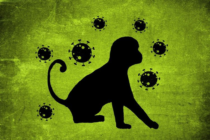 Cacar monyet atau monkeypox apakah berbahaya?