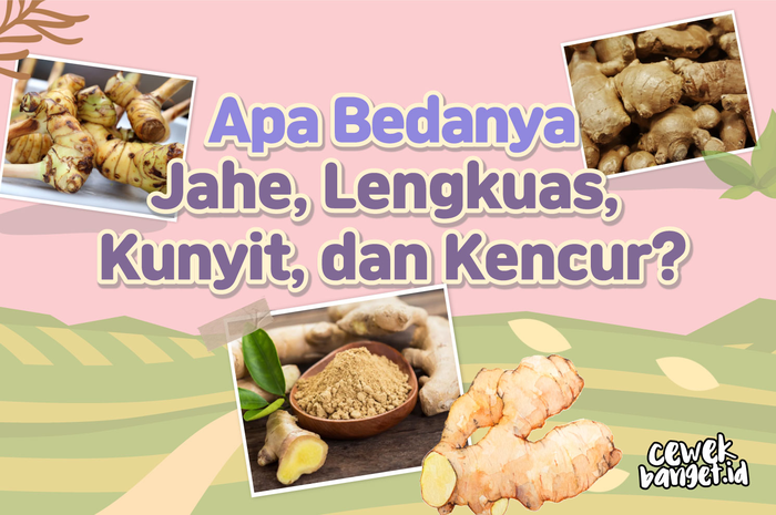 Apa Bedanya Jahe, Lengkuas, Kunyit, dan Kencur