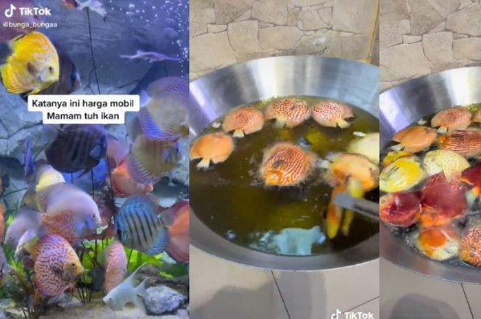 Kurang perhatian suami, wanita nekat goreng ikan peliharaan milik suaminya.