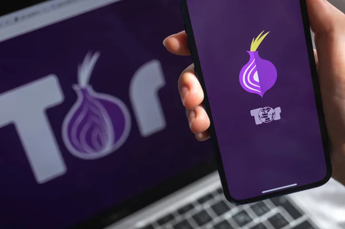 Ilustrasi menggunakan Tor Network di smartphone dan laptop