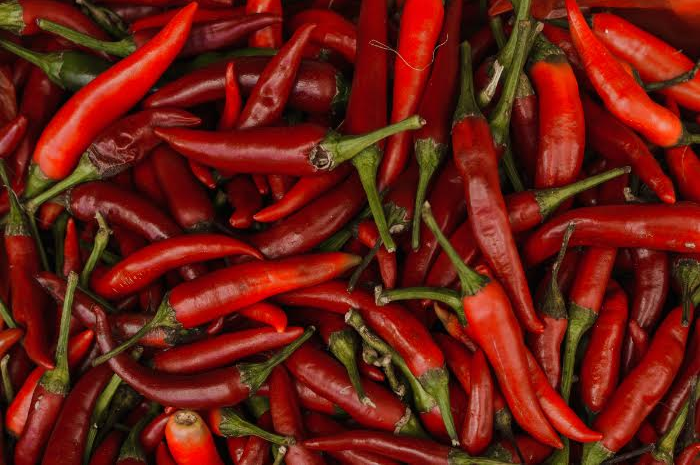 Harga sembako cabai rawit
