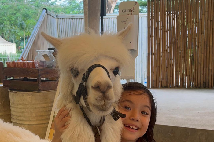 Gisel kegirangan melihat anaknya memeluk makhluk berbulu seperti domba sampai dua kali posting foto Gempi dengan pose begini.