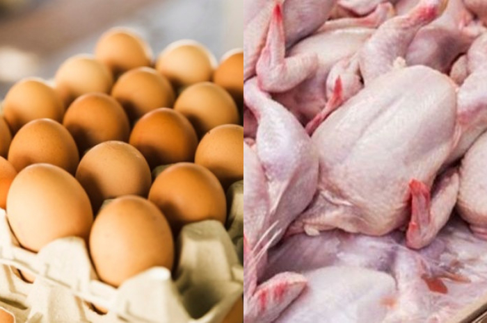 Harga sembako telur ayam melambung naik salip harga sembako daging ayam.