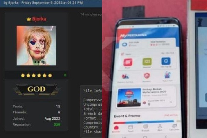 Viral di media sosial hacker Bjorka ancam bakal bocorkan data MyPertamina.