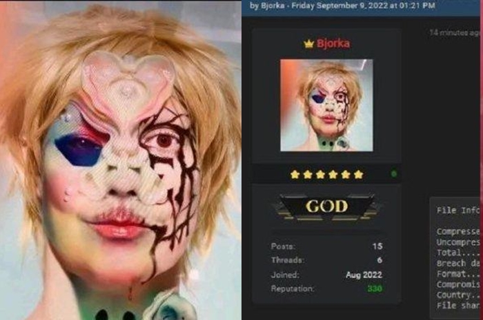 Foto dan gambar ilustrasi. Terduga hacker Bjorka yang ditangkap polisi disorot.