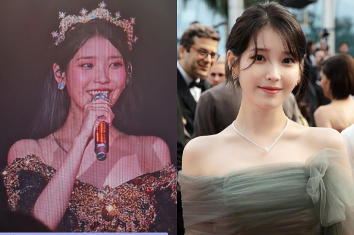 Biodata artis IU