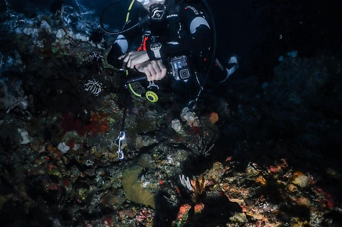Gisel bangga memajang foto terjepit di antara karang indah Kepulauan Alor. Dia terlihat bahagia enak-enak kejepit di bawah laut.